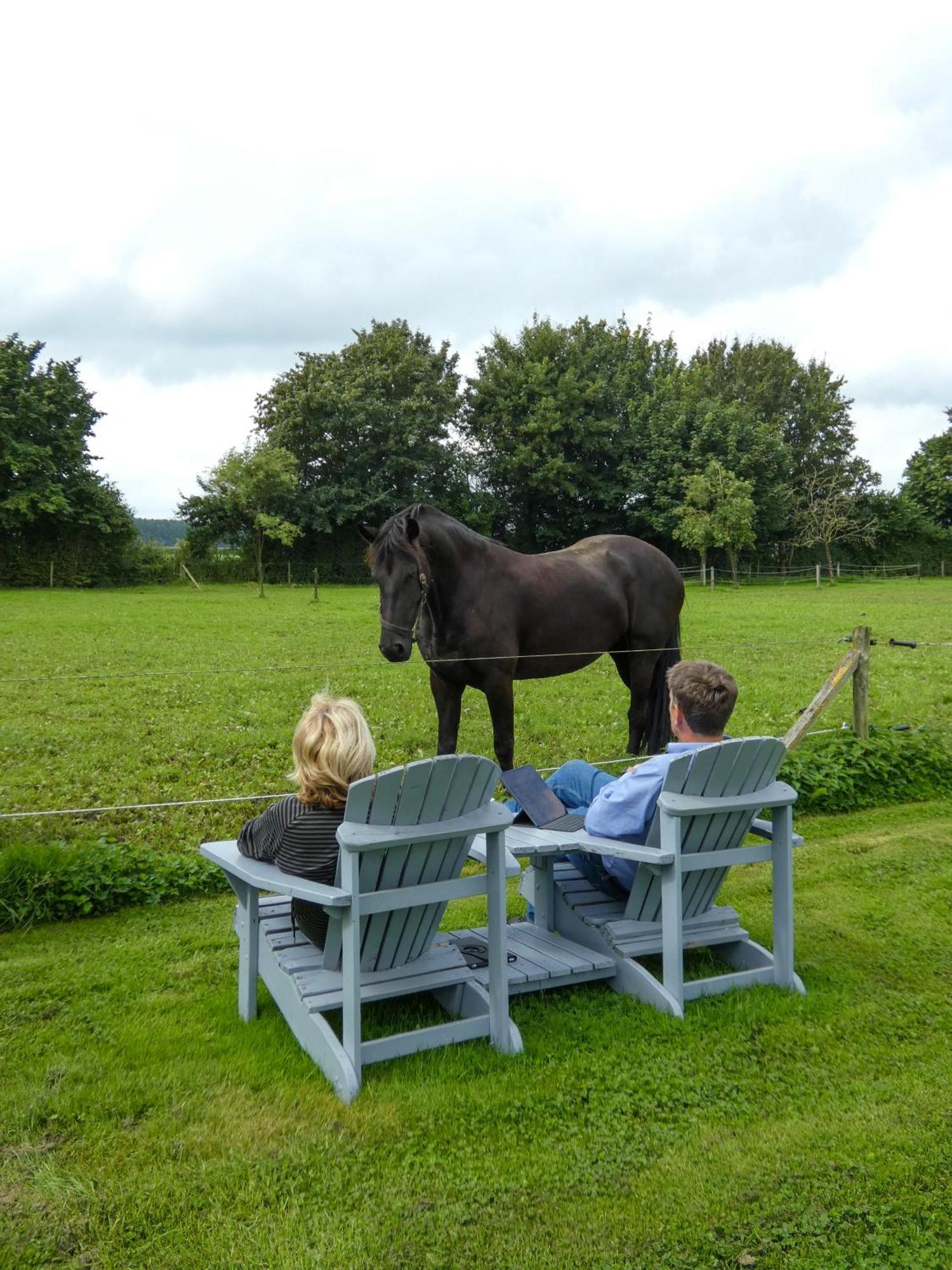 Camping Warnstee Wichmond